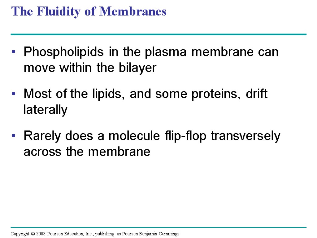 The Fluidity of Membranes Phospholipids in the plasma membrane can move within the bilayer